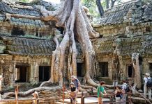 Khám phá đền Ta Prohm Campuchia, ngôi đền bí ẩn với những rễ cây kì dị Khám phá đền Ta Prohm Campuchia, ngôi đền bí ẩn với những rễ cây kì dị